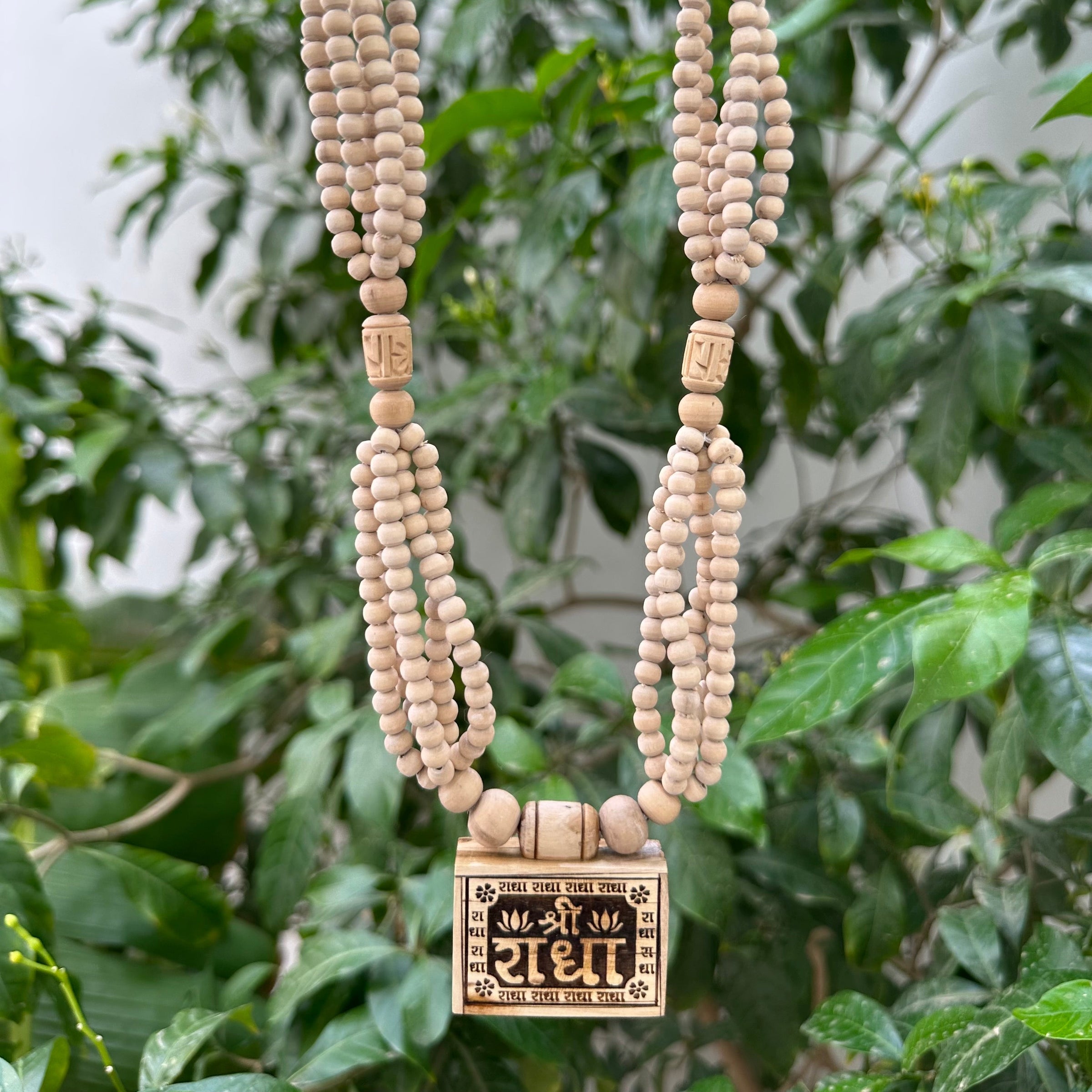 Panchmal And Bhaktmal - Hamaro Vrindavan
