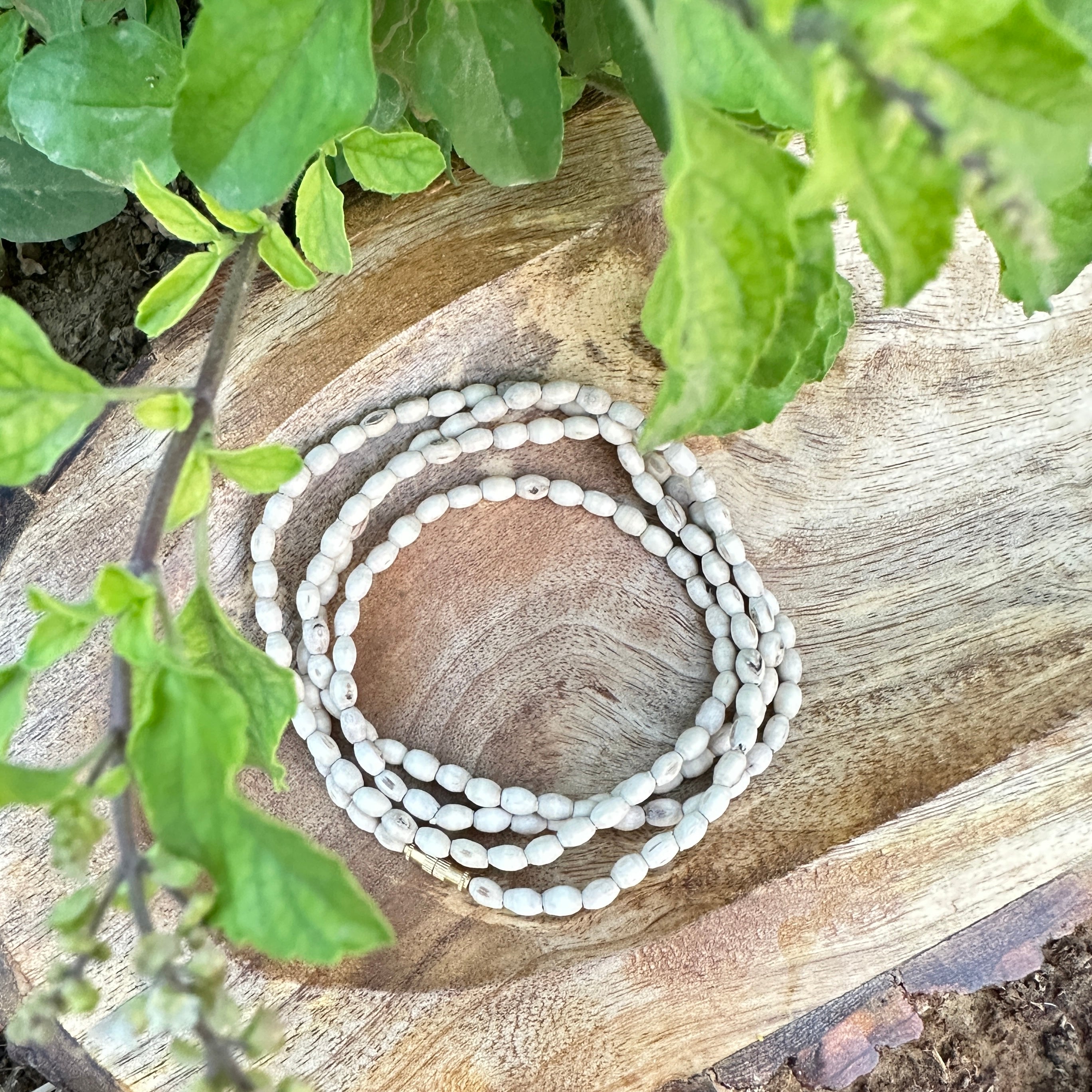 Mirdang Jugal Kanthi – Hamaro Vrindavan